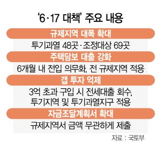  6.17 부동산 대책