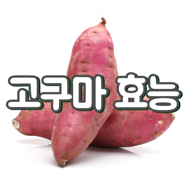 고구마 효능