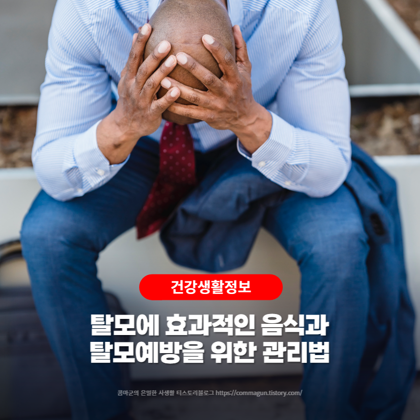 탈모에 효과적인 음식과 탈모예방을 위한 관리법