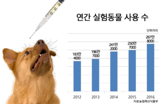 동물실험 찬성 반대 입장 :: 이슈텔링