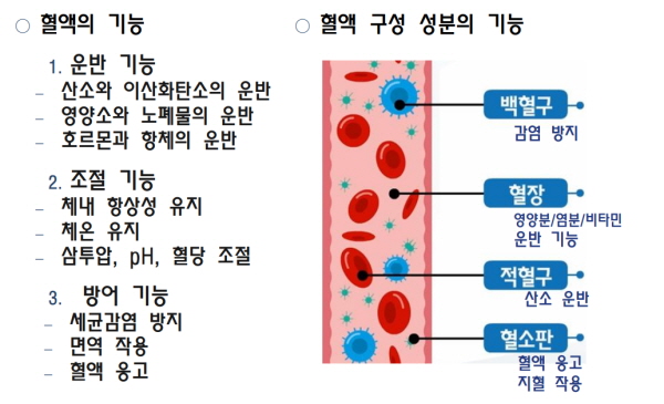 혈액의_기능과_구성성분
