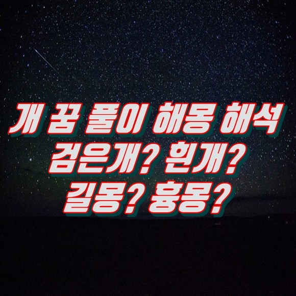  개 꿈 풀이 해몽 해석 (검은개? 흰개? 길몽? 흉몽?)