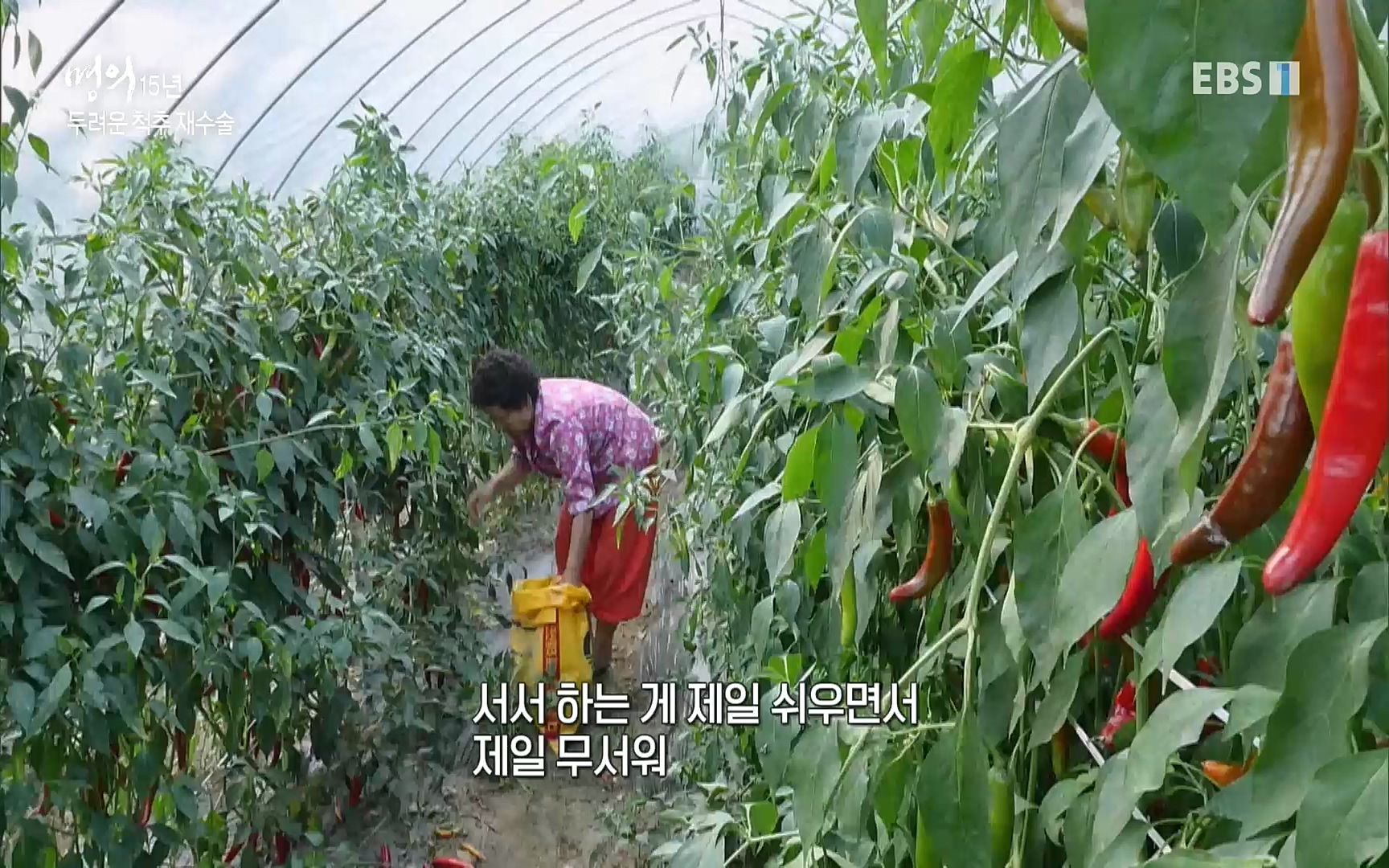 EBS 명의 헬스케어 - TV - 교육의 중심 EBS명의 15년 - 허리통증을 잡아라!.mp4_20220805_210306.992.jpg