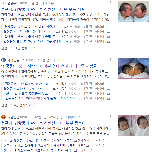 이중 쌍둥이