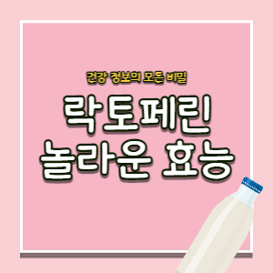 락토페린