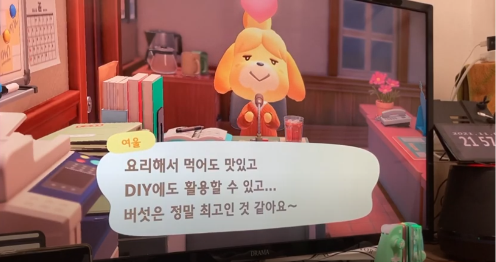  소소한 일상기록 ) 빼빼로 만들고, 크리스마스 트리 만들고, 여행