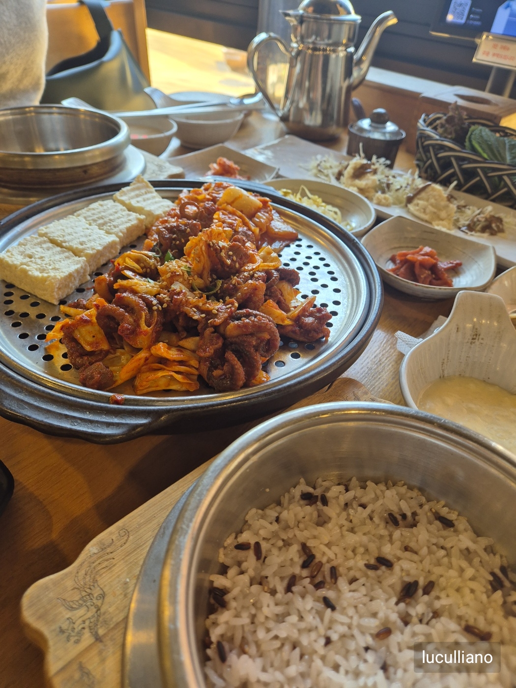 콩빠두 이미지