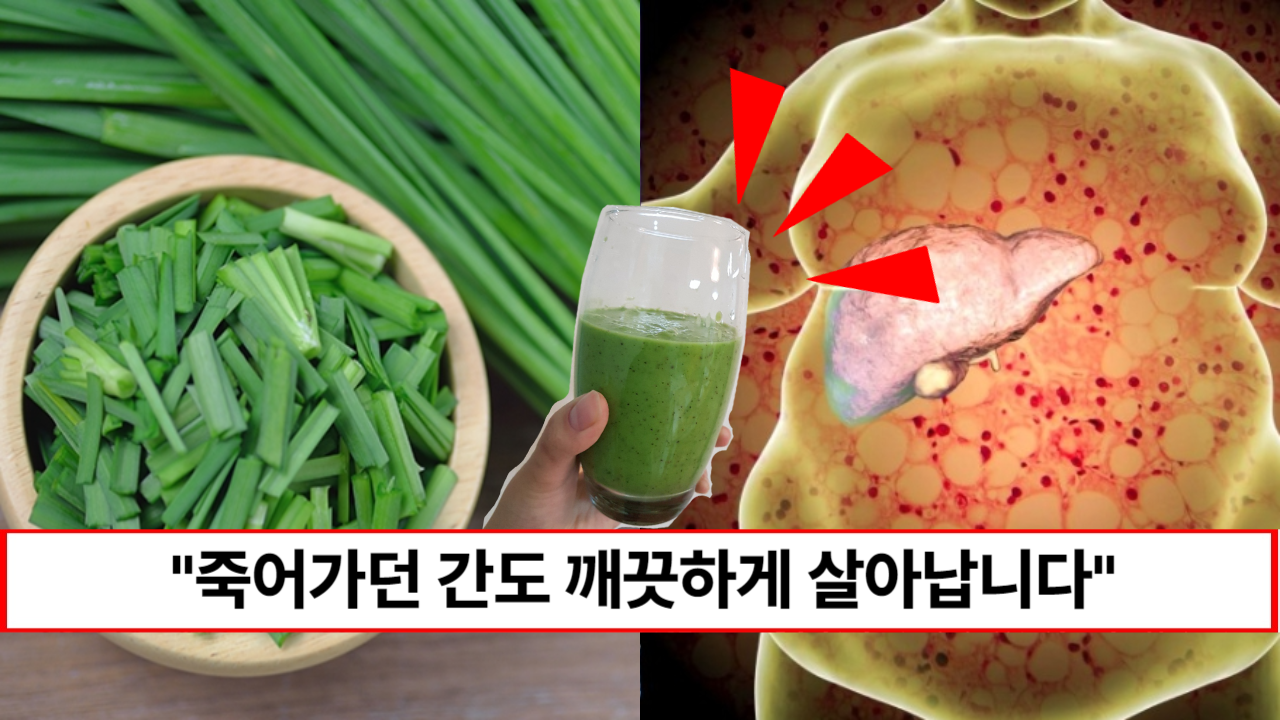 “하루 한잔이면 간이 깨끗해집니다” 간 건강에 탁월한 부추 이것과 갈아마시면 간이 회춘합니다