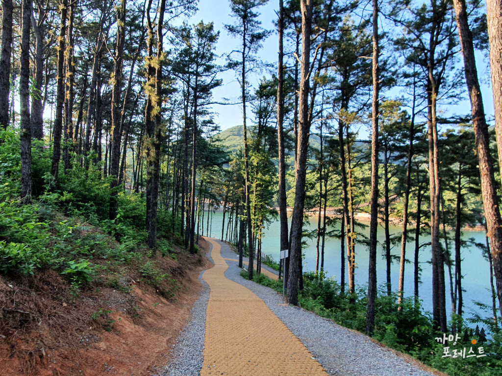 마장호수 출렁다리 산책로