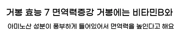  거봉 효능 7 면역력증강 거봉에는 비타민B와 아미노산 성분이 풍부하게 들어있어서 면역력을 높인다고 해요