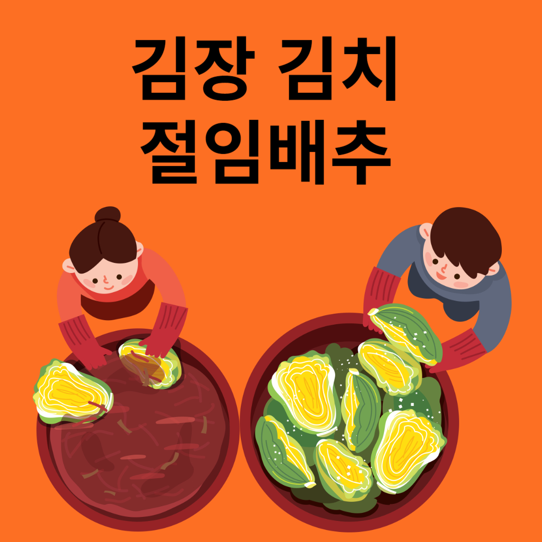 김장 김치 절임배추