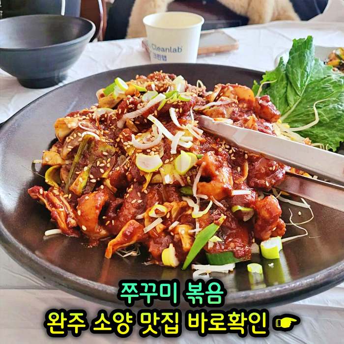  이만기 동네한바퀴 주꾸미볶음 백수부부 완주 소양 송광사 추천 맛집 해물전, 쭈꾸미 밥상 217회 방송 정보