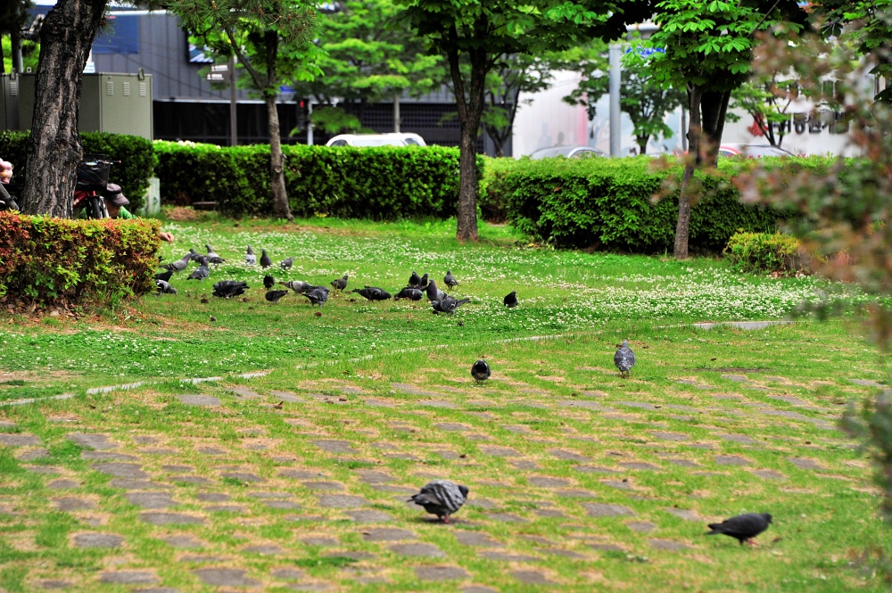 센텀 APEC 나루 공원