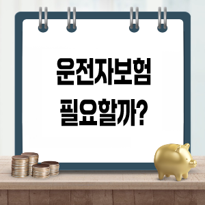 운전자보험이 필요한 상황과 가입시 확인할 것들