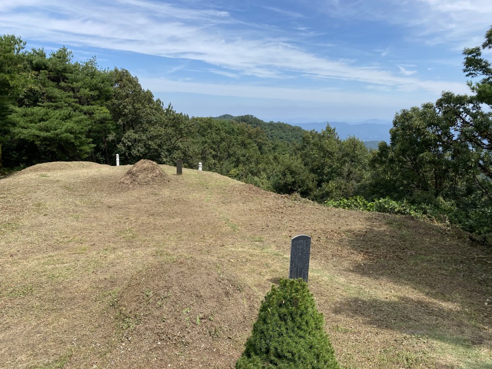 홍길동이 다녀간 5