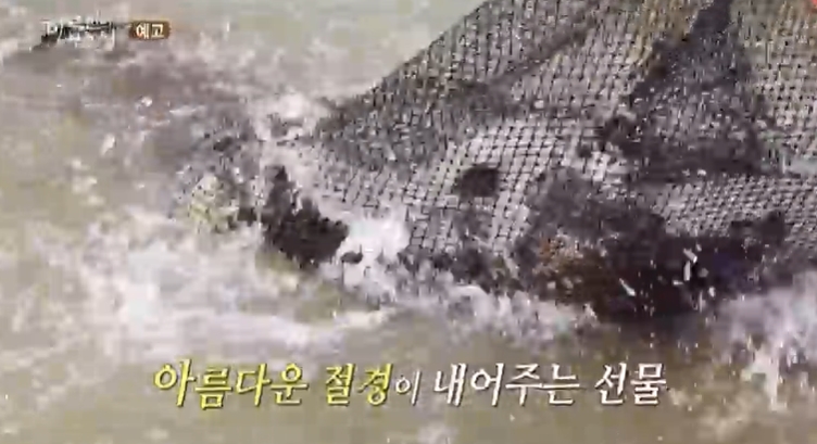 한국인의밥상-포천-한탄강-쏘가리조림-매운탕