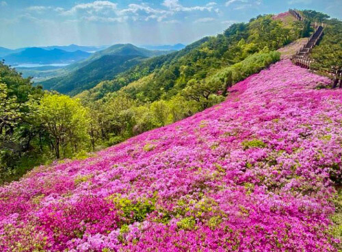 고려산-전경