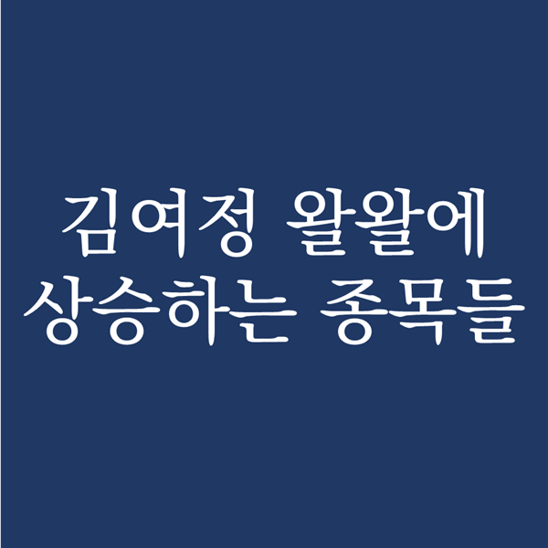  북한 김여정이 올려주고 있는 방산 테마주 종목들 - 빅텍 스페코 퍼스텍