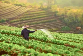 농지 양도소득세율 세율표_4