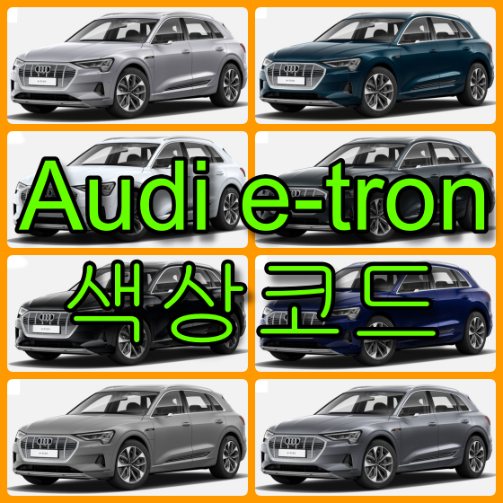  아우디 e-tron 색상코드(컬러코드) 확인하고 자동차 붓펜(카페인트) 구매하는 법