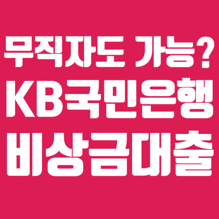 KB국민은행 비상금대출
