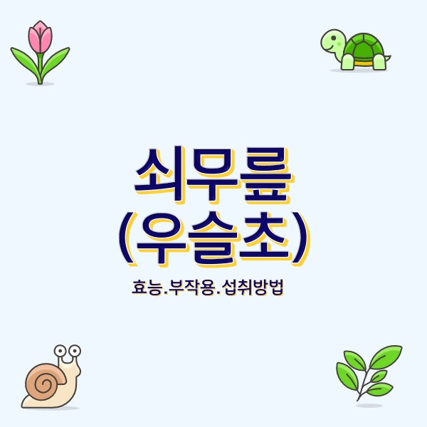  쇠무릎 건강에 좋은 식물이지만 주의할 점은? 효능과 먹는 방법 그리고 주의사항