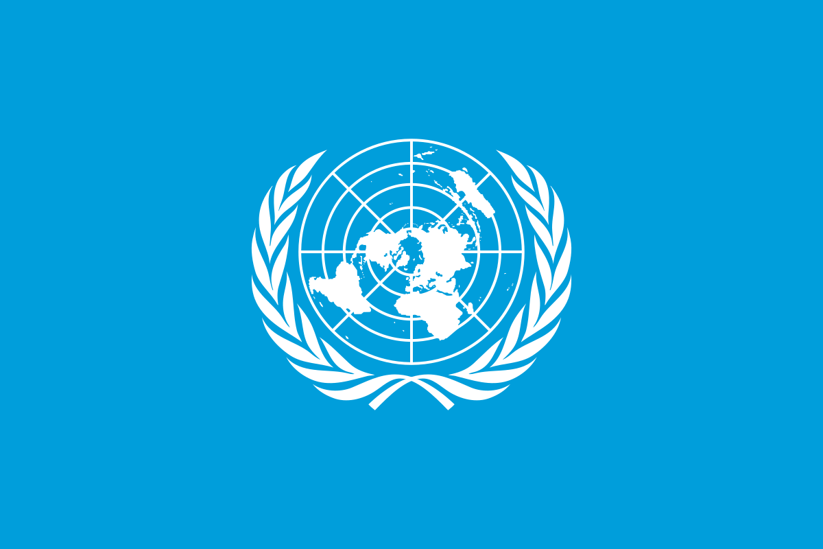 UN-국기