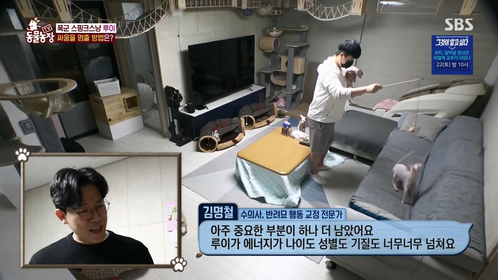 TV 동물농장.E1116.230416p.H264-F1RST.mp4_20230418_194211.459.jpg