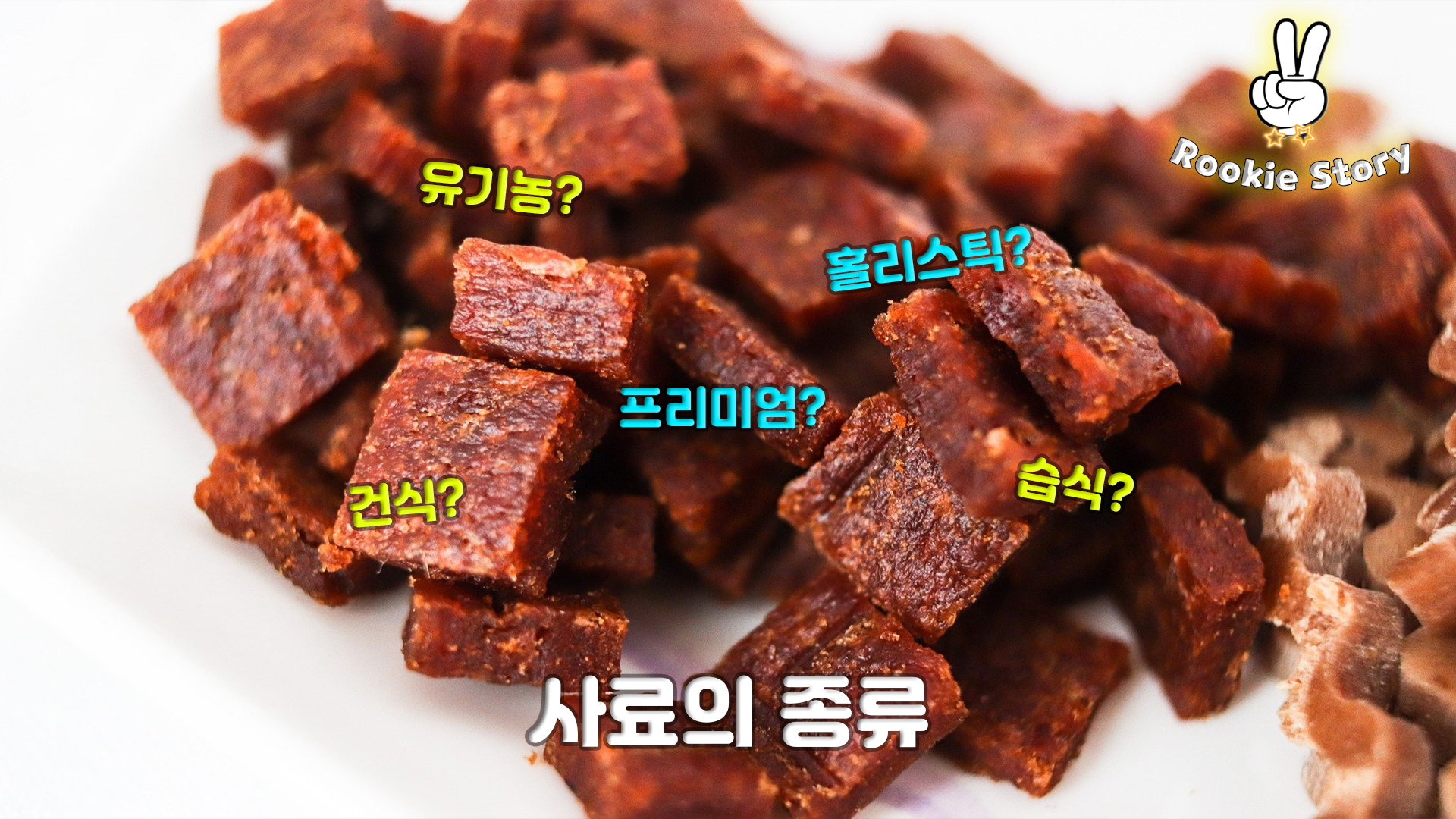  강아지 사료 주는 급여 방법과 종류