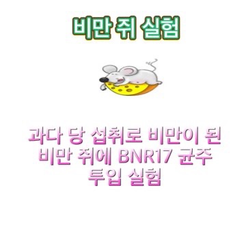 모유유래유산균bnr17_효능_부작용