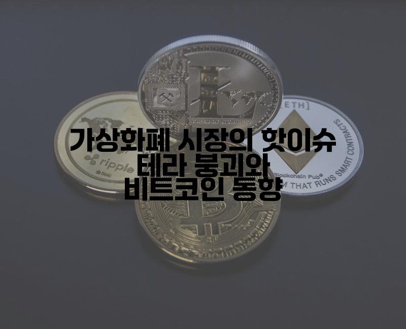 가상화폐 시장의 핫이슈 테라 붕괴와 비트코인 동향