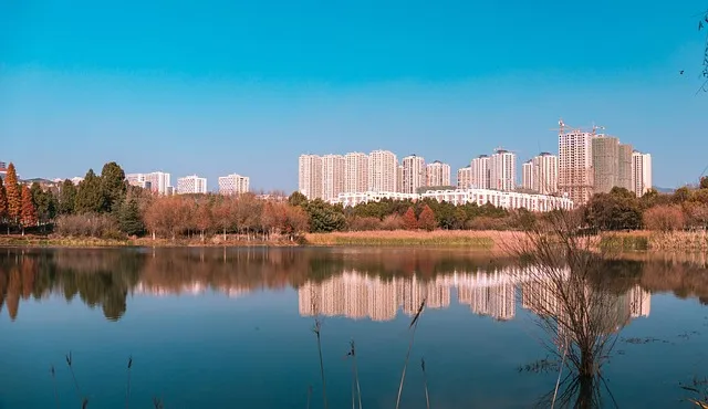 수도권 애견동반 여행지 5선 완벽 가이드 반려견 동반 산책 주말 여행지 추천_3