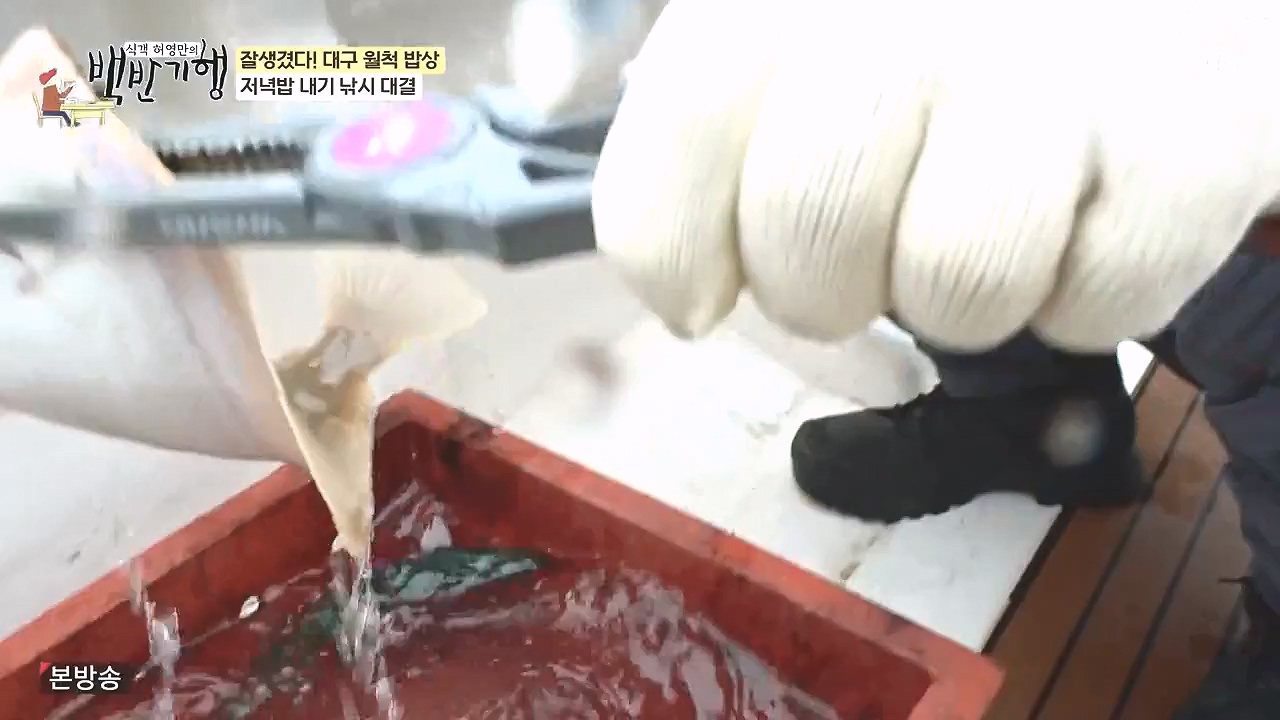 식객 허영만의 백반기행.E229.240106p-NEXT.mp4_20240106_165459.229.jpg