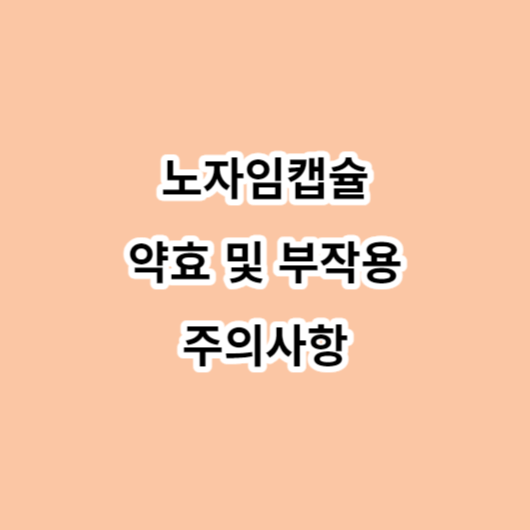 노자임캡슐 약효-부작용-주의사항