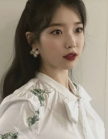  아이유 가수가 되기까지의 이야기