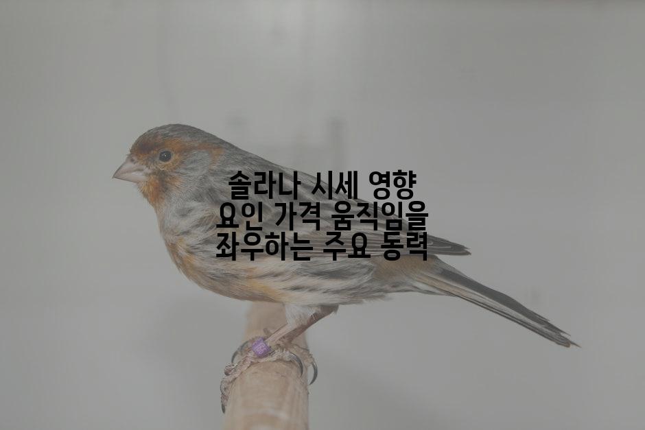솔라나 시세 영향 요인 가격 움직임을 좌우하는 주요 동력
