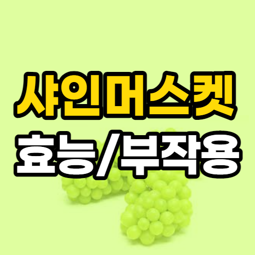  샤인머스켓 효능 및 부작용, 샤인머스켓 세척법