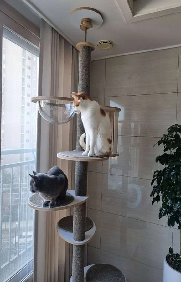 우리 동물병원
