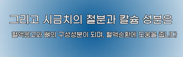  그리고 시금치의 철분과 칼슘 성분은 혈액응고와 뼈의 구성성분이 되며, 혈액순환에 도움을 줍니다