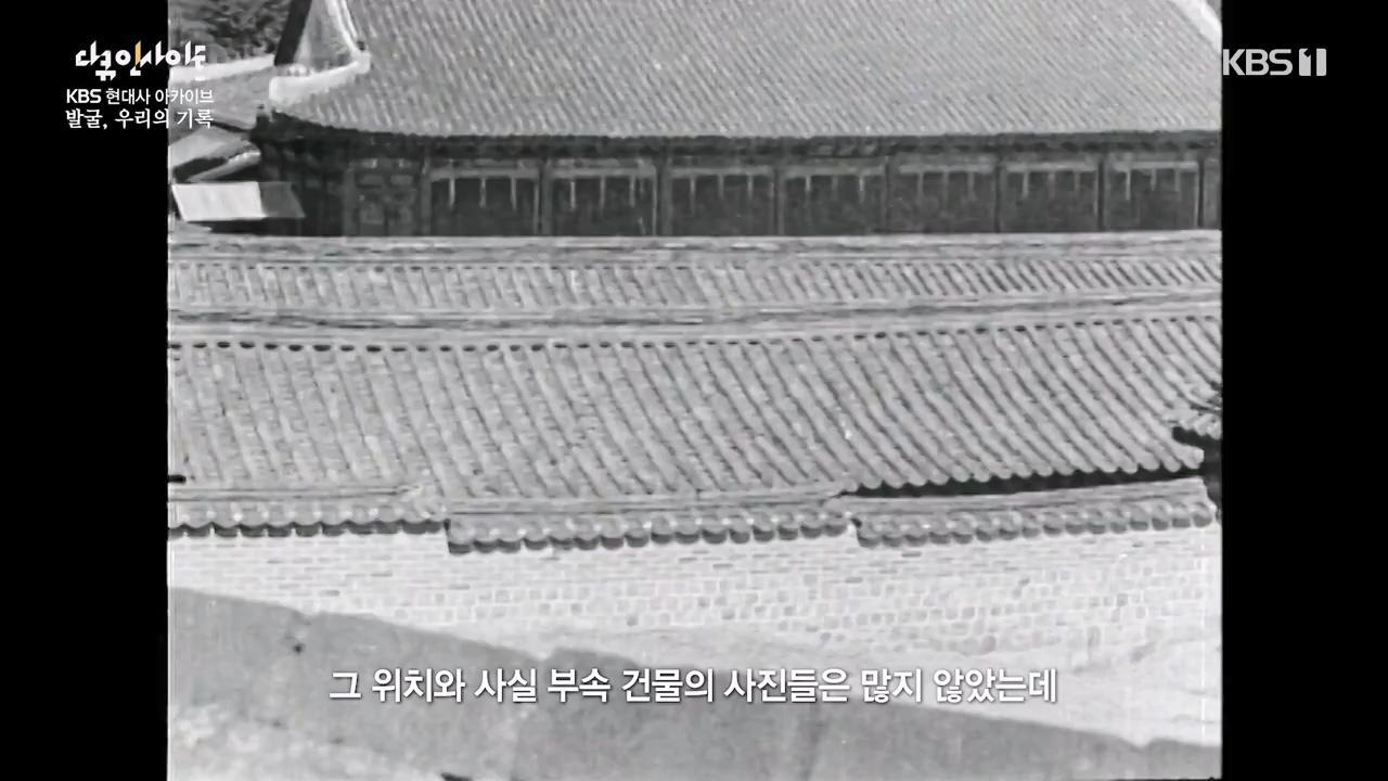 다큐 인사이트.E156.230721p-NEXT.mp4_20230722_182902.388.jpg