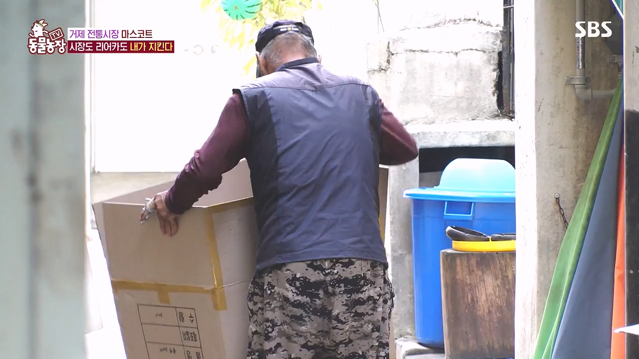 TV 동물농장.E1153.240108p-NEXT.mp4_20240107_173839.282.jpg