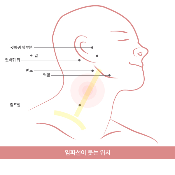 목 임파선 붓는이유. 사진으로 위치를 알아봐요. 목 임파선 붓는이유. 사진으로 위치를 알아봐요.