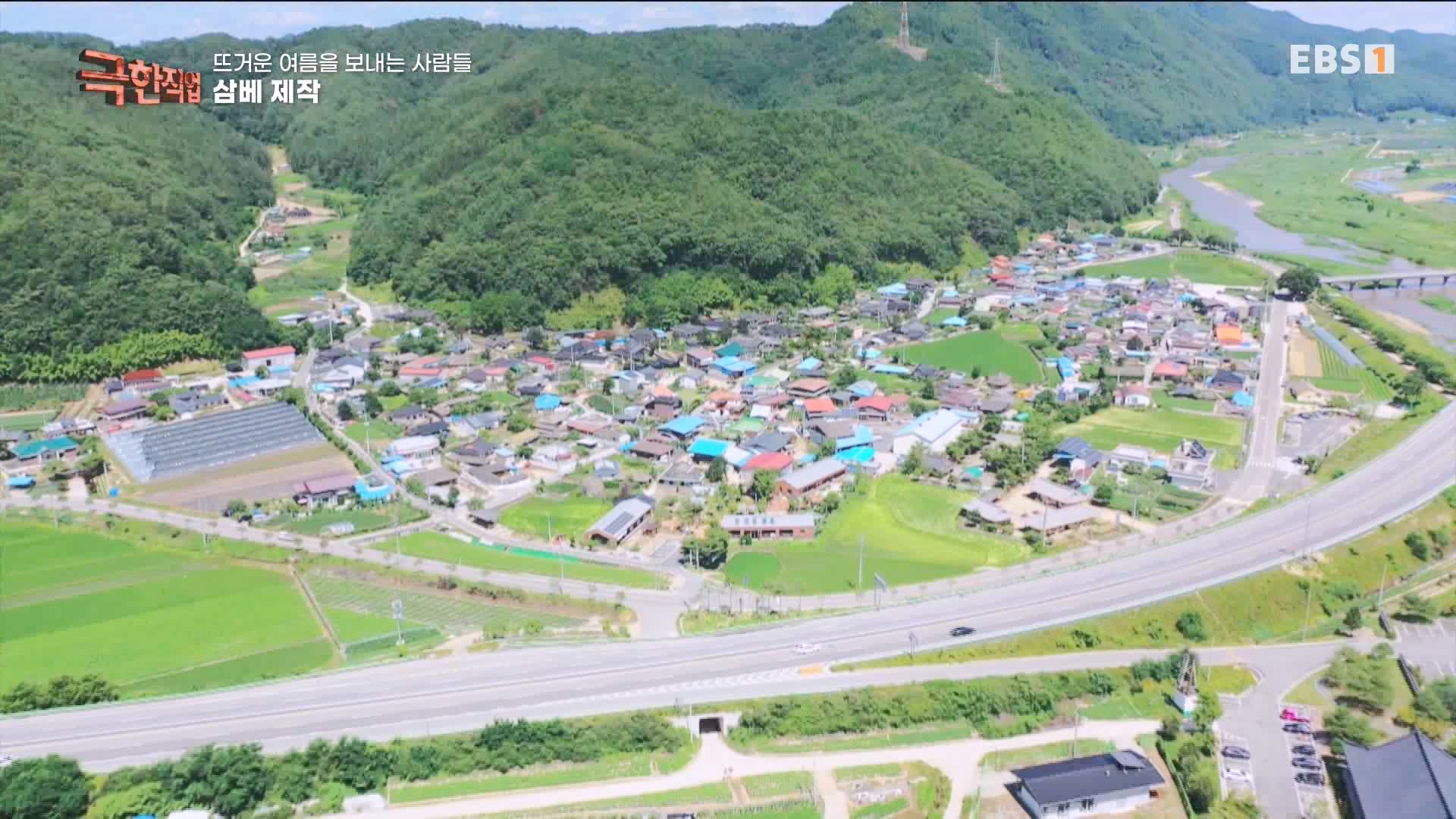 [극한 직업] 삼베 제작과 농어잡이 230812p.mp4_20230814_204005.305.jpg