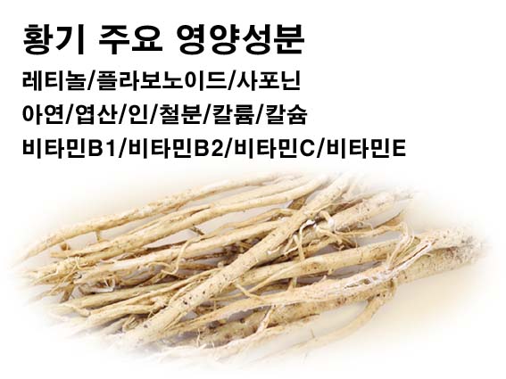 황기 주요 영양성분