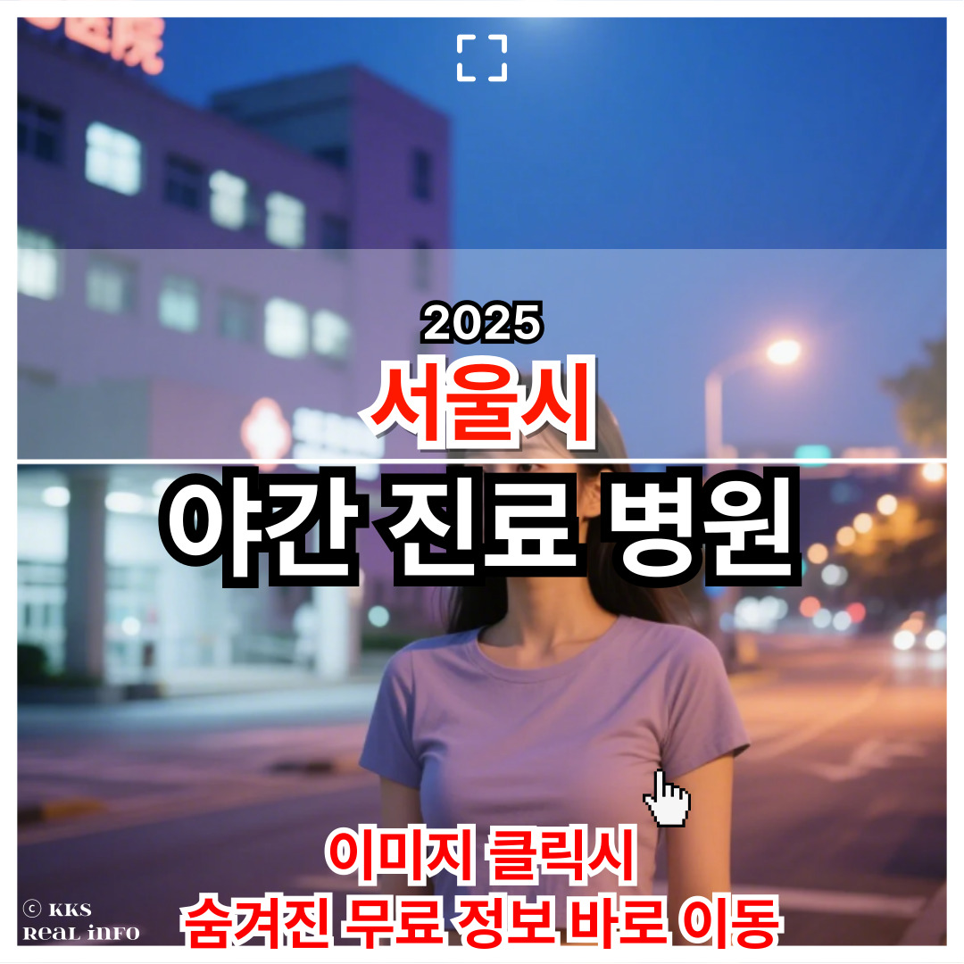 2025 서울시 야긴진료 병원 정리 및 요약본 공유