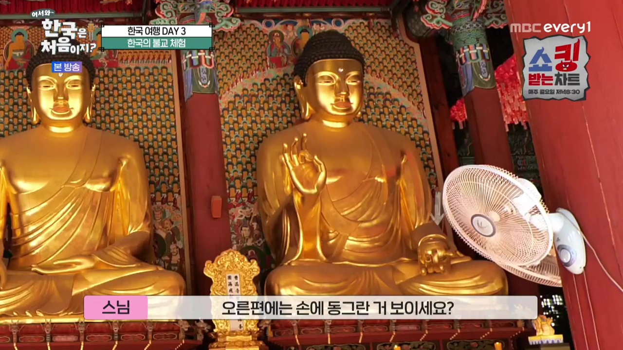 어서와 한국은 처음이지 시즌2.E238.221125p-NEXT.mp4_20221126_181224.611.jpg