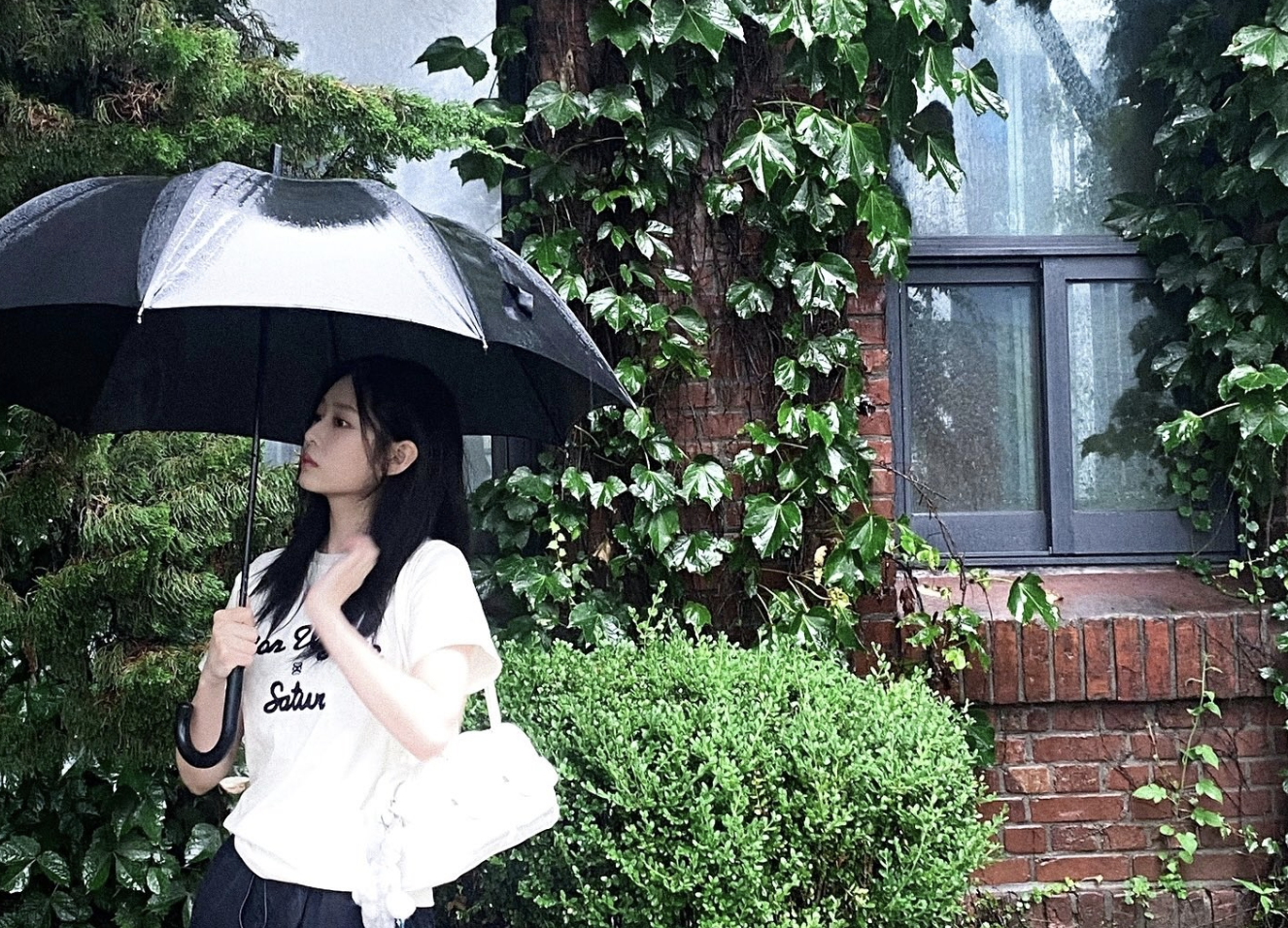 장마철 집안 습기 제거 완벽 가이드 살펴보고 가세요