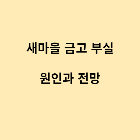 새마을금고부실