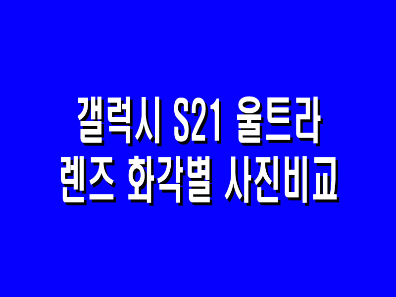  삼성 갤럭시 S21 울트라 렌즈 화각별 사진 비교 (feat. To Go 서비스)