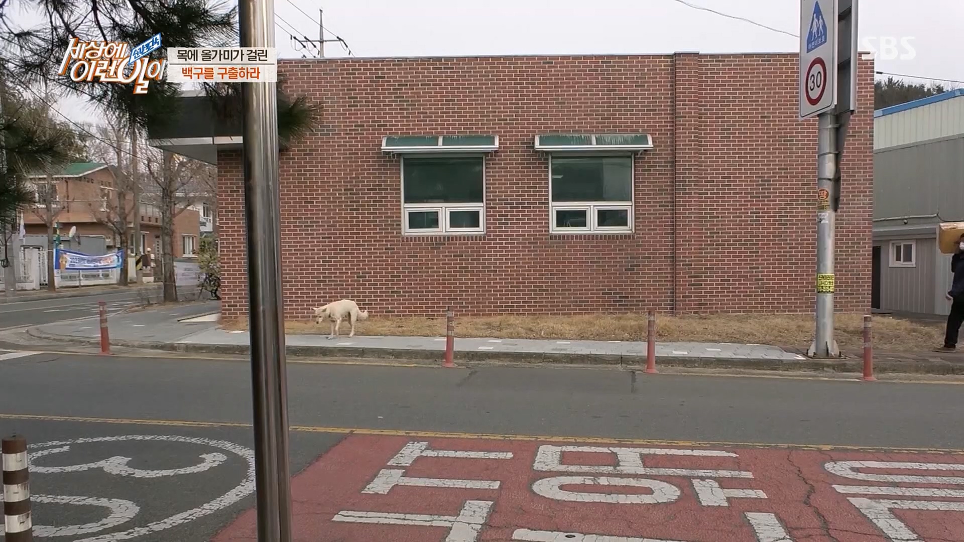 순간포착 세상에 이런일이.E1219.230228p.H264-F1RST.mp4_20230301_165035.195.jpg